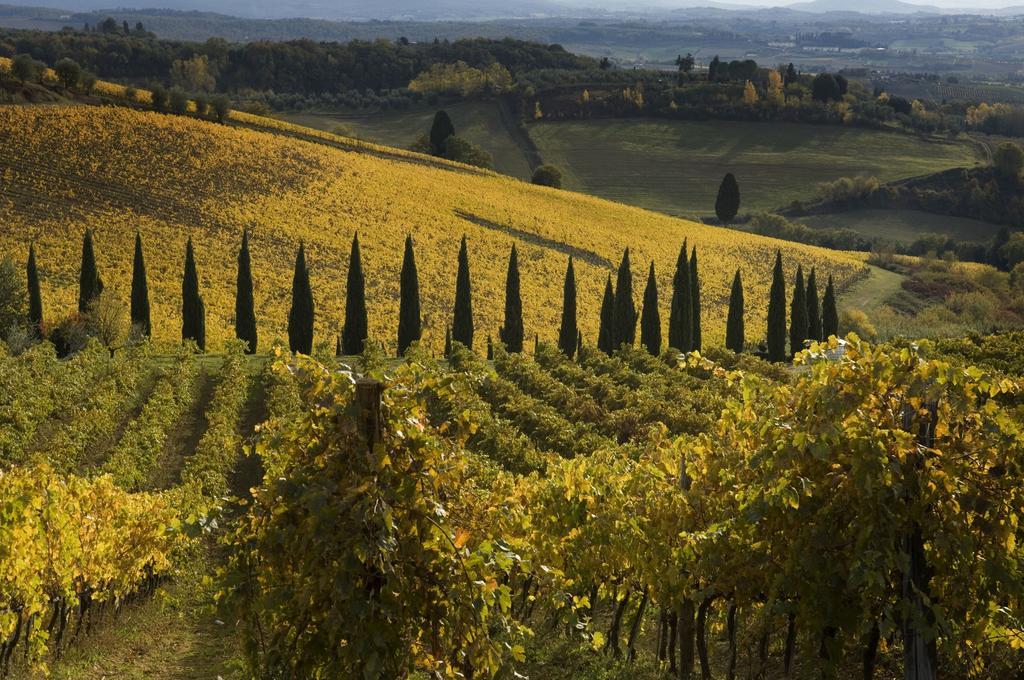 Agriturismo Campo Lungo San Donato in Poggio Pokoj fotografie